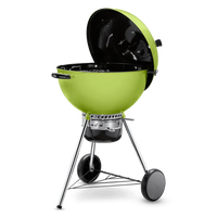 Asador a carbón portátil de color verde, ideal para parrilla y bbq, con tapa abierta y ruedas.