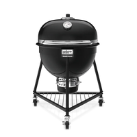 Hombre sostiene paquete de astillas de madera para ahumar, asados, parrilla y bbq